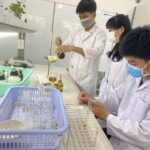 Học ngành Dược có tương lai không? Cơ hội việc làm ra sao?